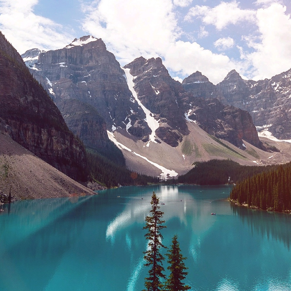 Meet your Posher, Sheeba